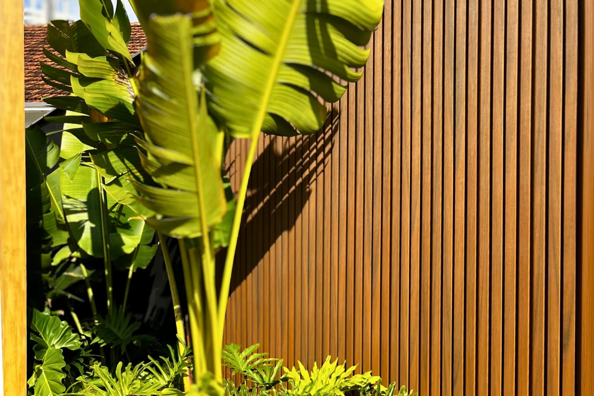 EcoRipado em fachada e ambiente interno